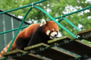 動物園